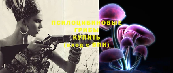 соль курить ск Верея