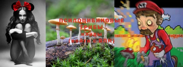 apvp Верхний Тагил