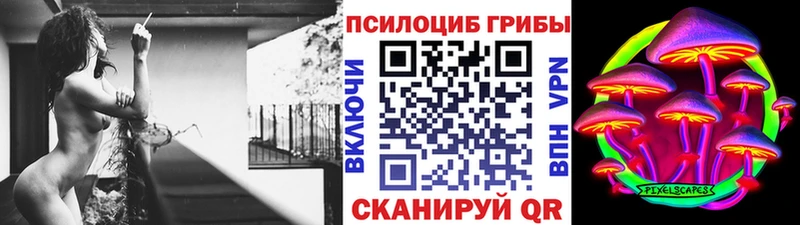 магазин продажи   Новоузенск  Галлюциногенные грибы прущие грибы 
