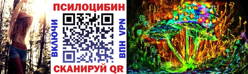 Псилоцибиновые грибы Psilocybe Новоузенск